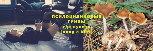 гидра Абдулино